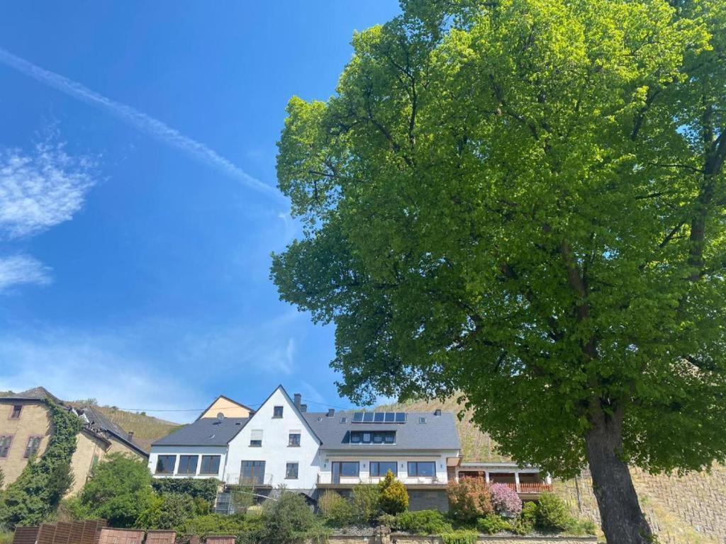 Chateau-De-La-Moselle Kinheim Exterior foto